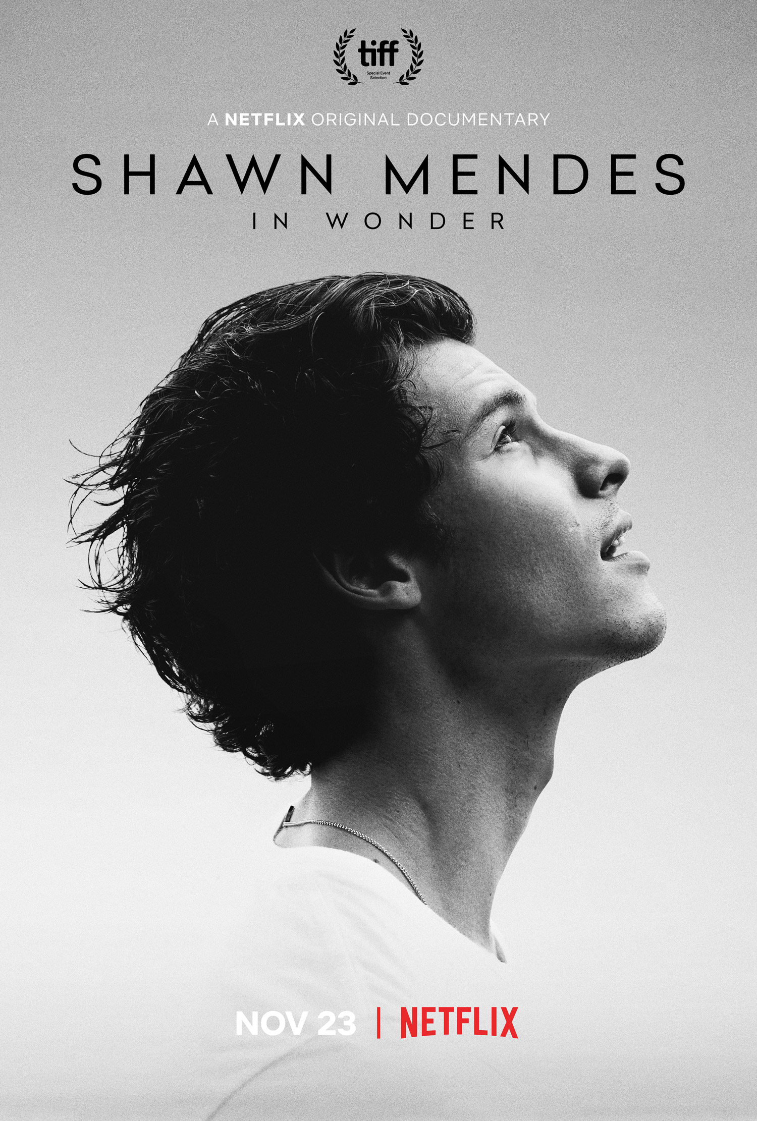 Shawn Mendes In Wonder
