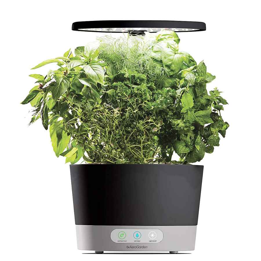 aerogarden-self-care