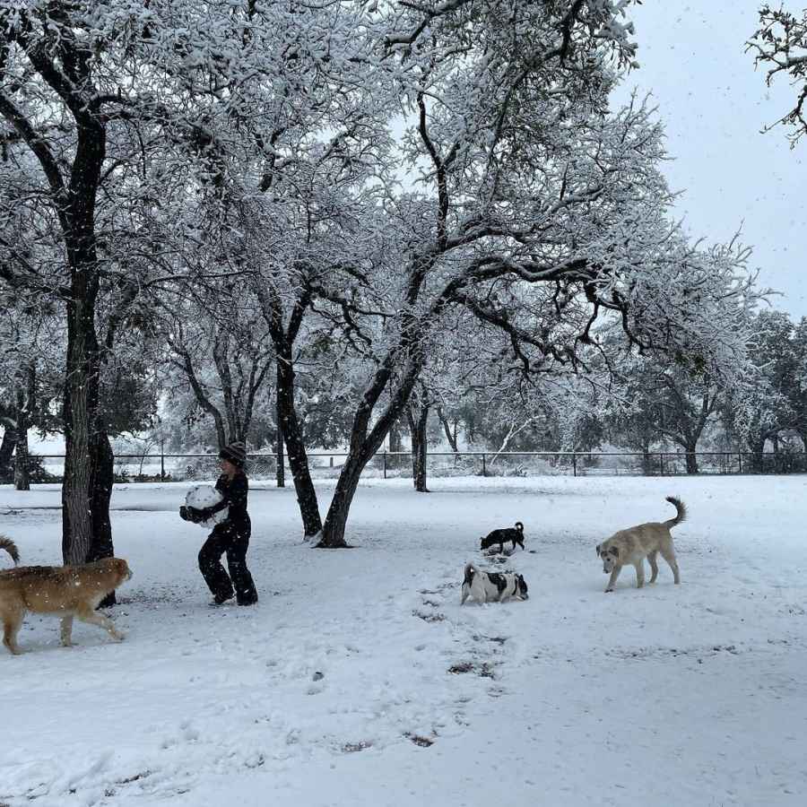 James Van Der Beek Magic Texas Snow Day