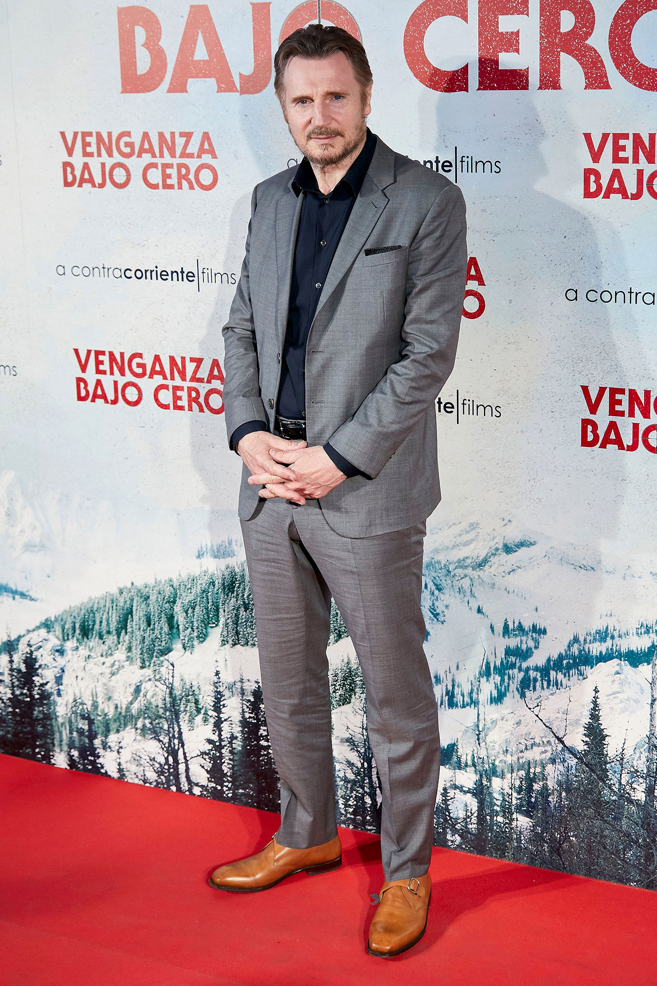 Liam Neeson Plans on Retiring From Action Films