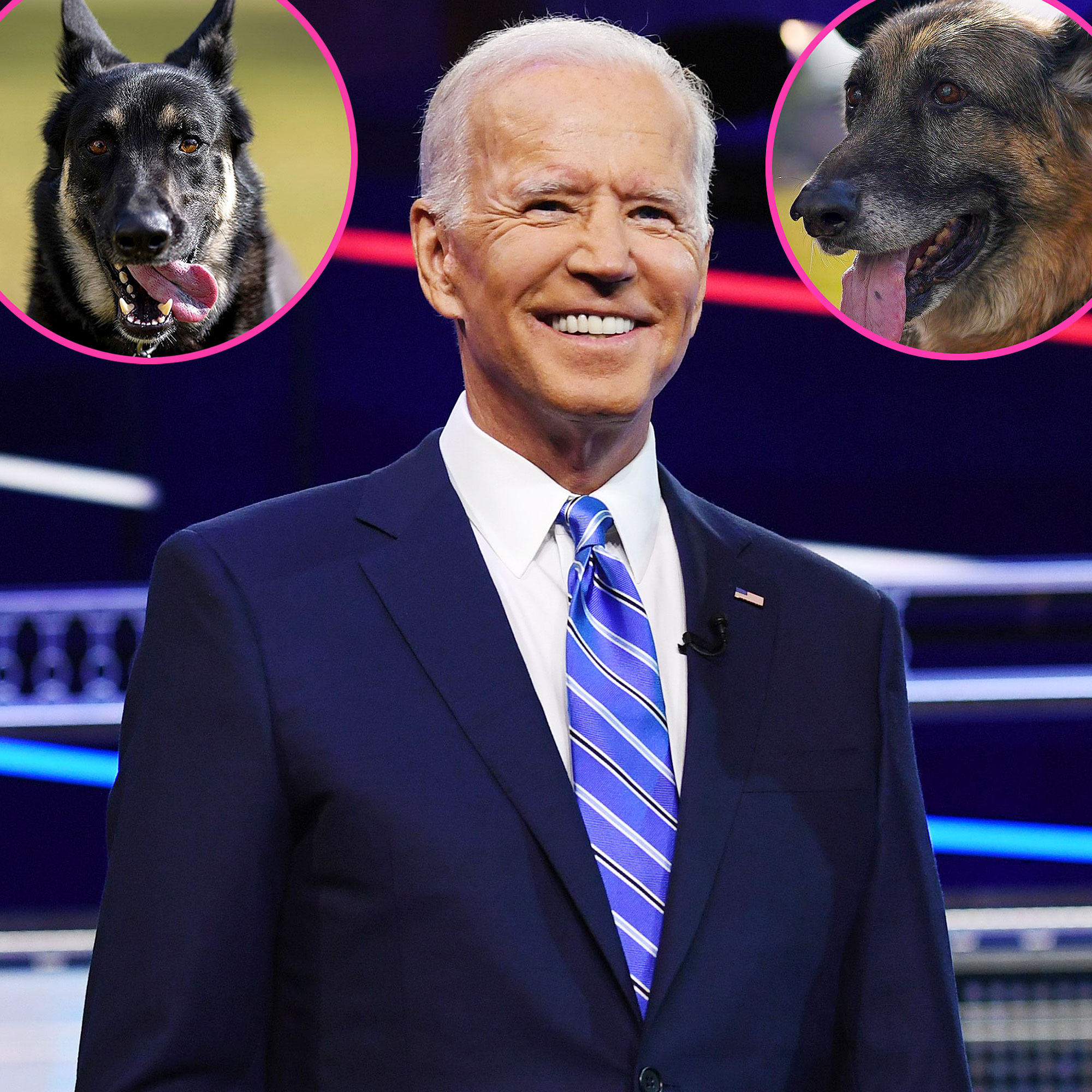 Their New Home President Joe Biden Dogs Major Champ Arrive White House