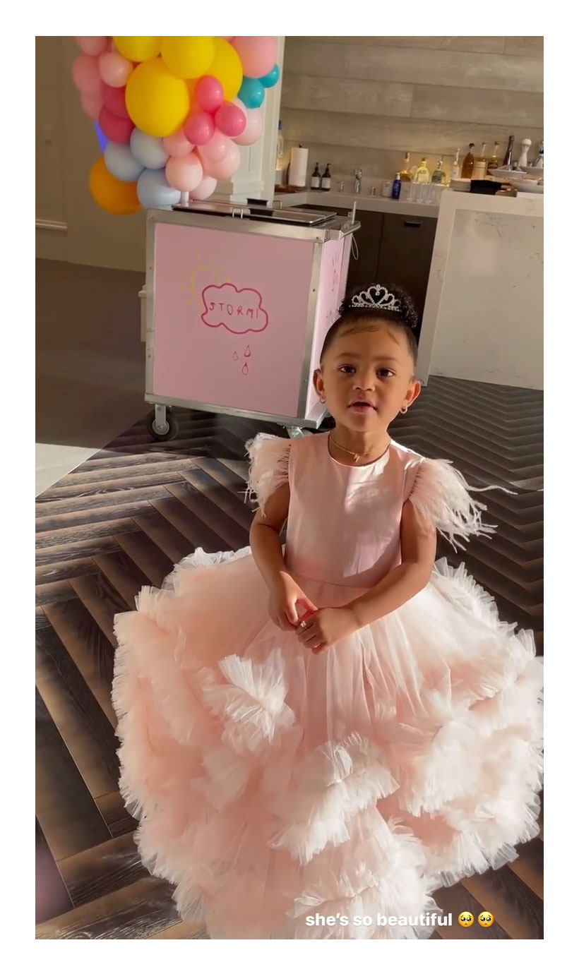 Birthday Girl Stormi Webster 3rd Birthday Party Pink Princess Dress