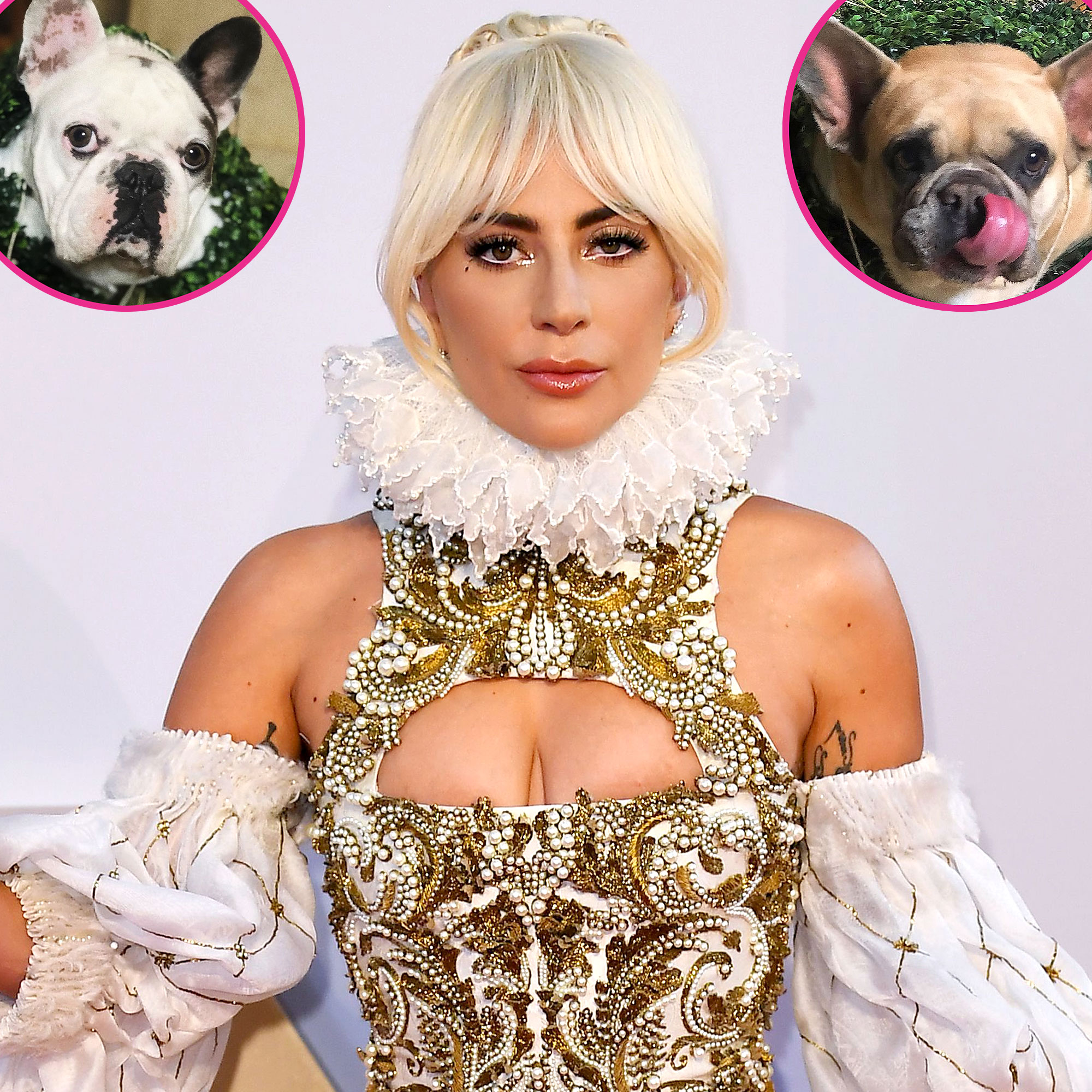 Lady Gaga Is Beside Herself After Dog Walker Shooting Offering 500000 Reward For Return Of Beloved Pets