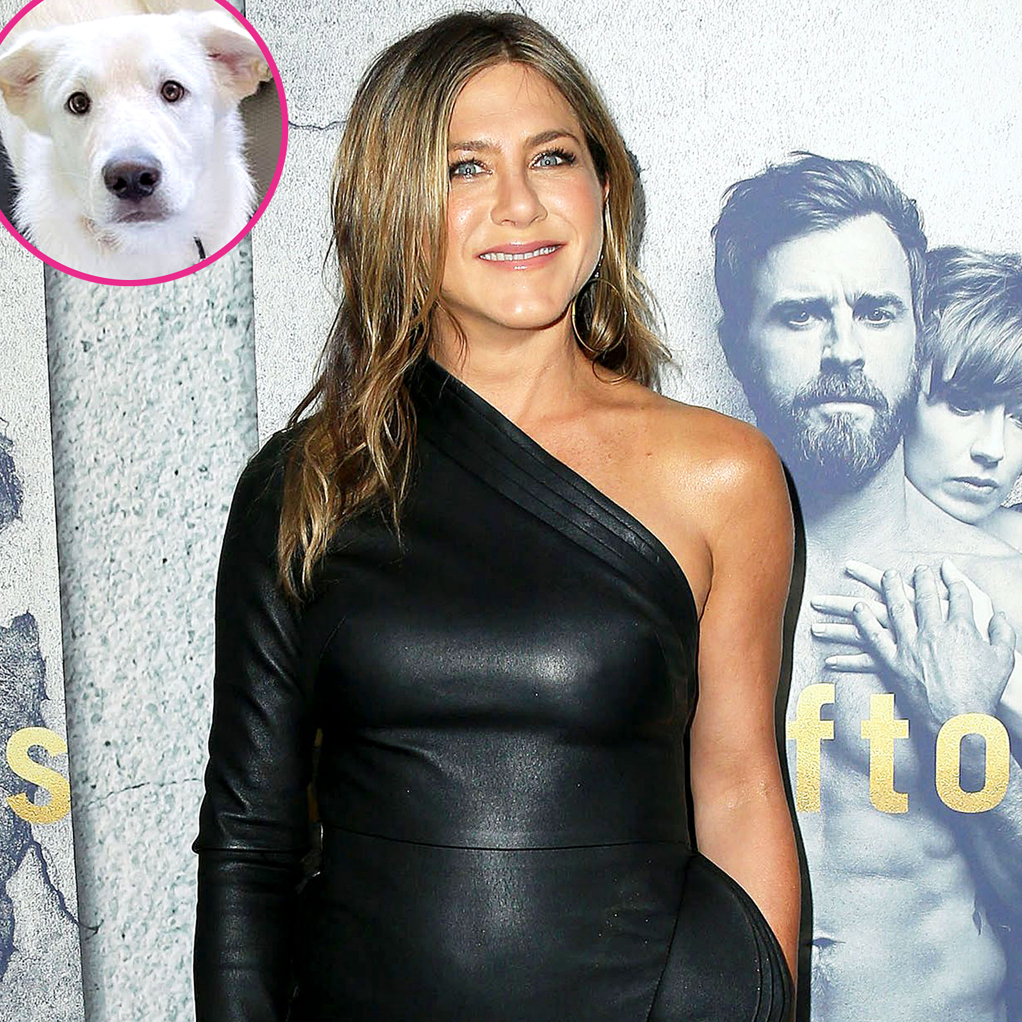 Jennifer Aniston Works Out With Her Dog Lord Chesterfield