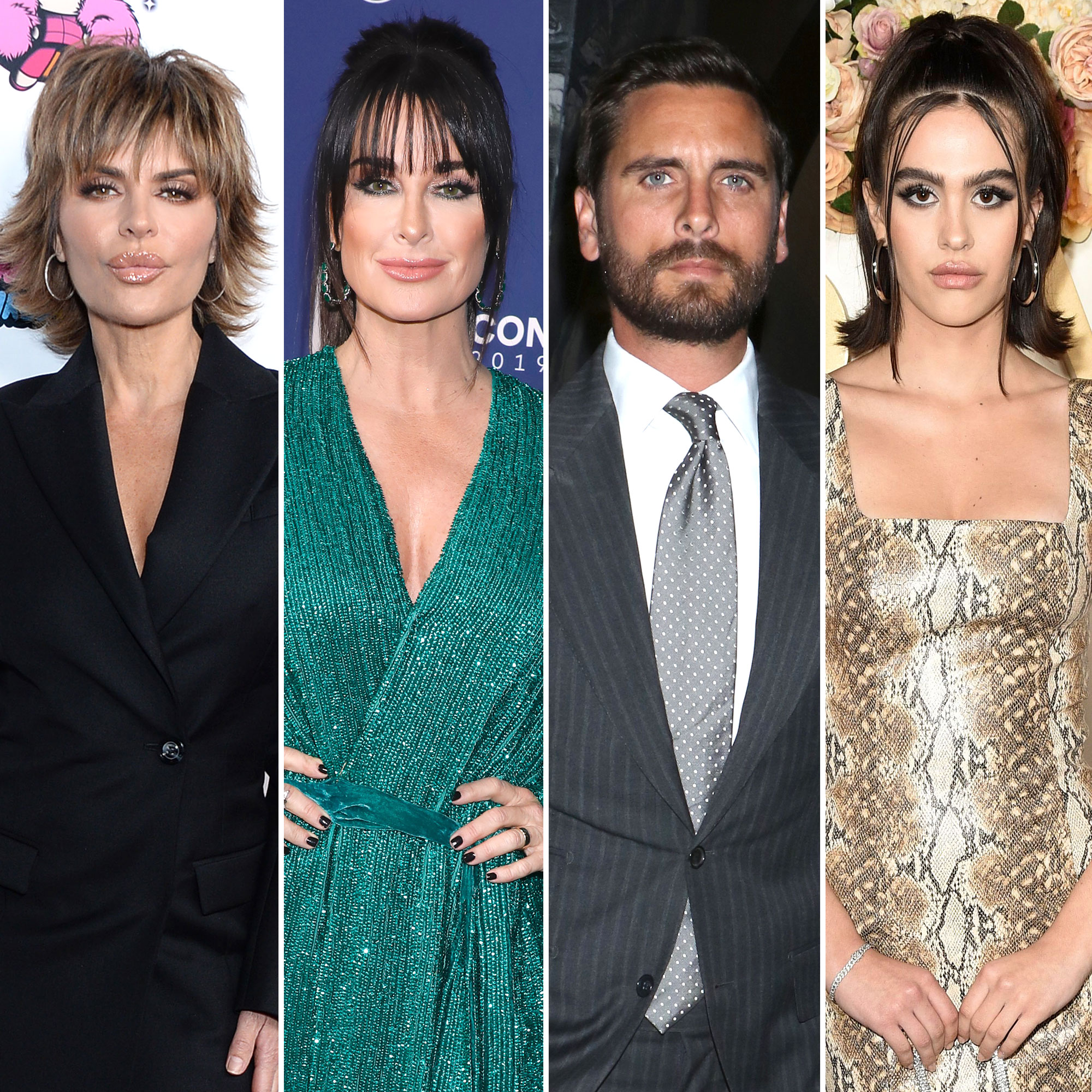 Lisa Rinna Agrees After Kyle Richards Calls Scott Disick Too Damn Old for Amelia Gray Hamlin