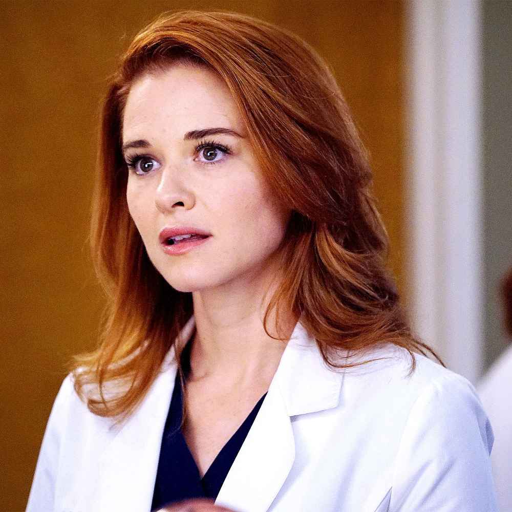 Sarah Drew Teases April's Reunion With Jackson: It's 'Beautifully Written'