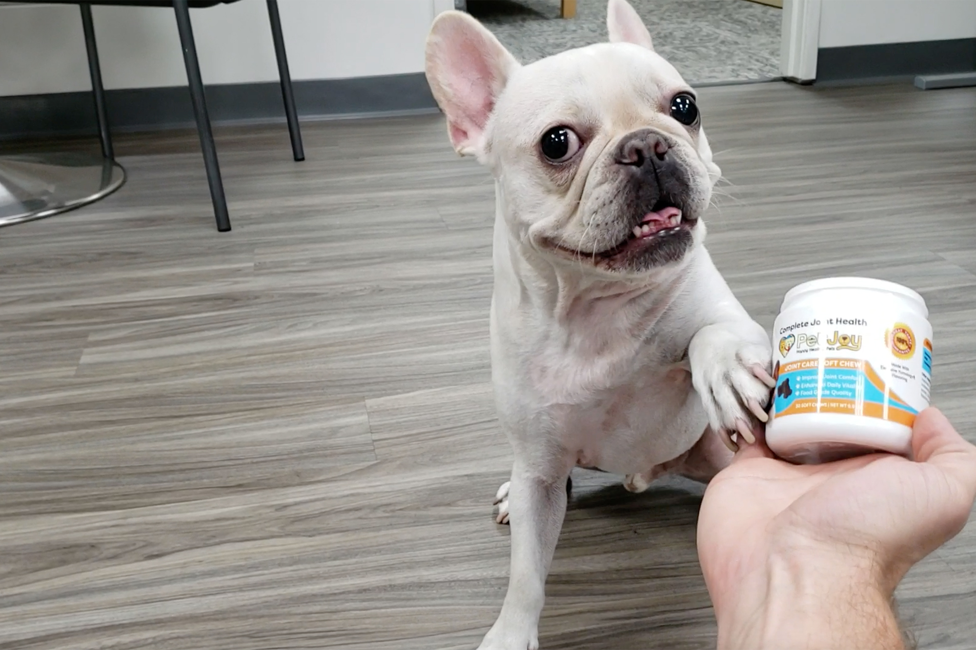 PetJoy