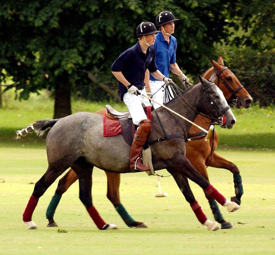 Princes William Harry How Theyve Grown