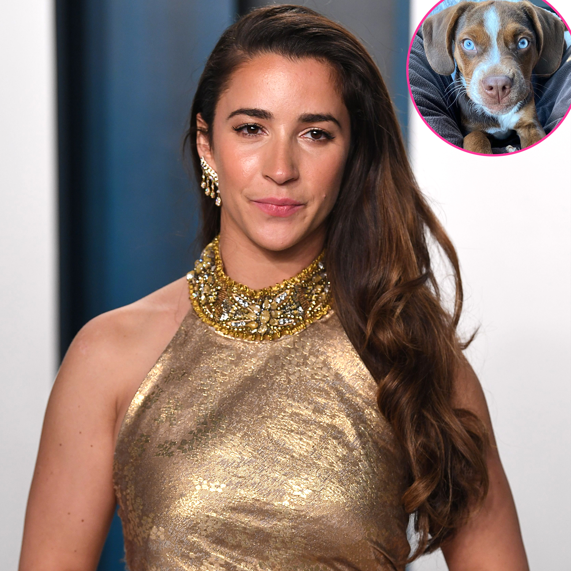 Aly Raisman Loses Dog Mylo During Fireworks on July 4th Weekend