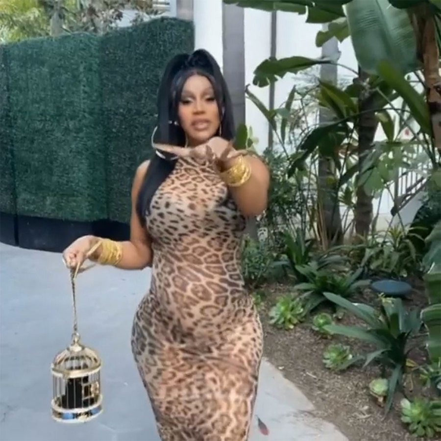 Animal Print Cardi B Baby Bump Album