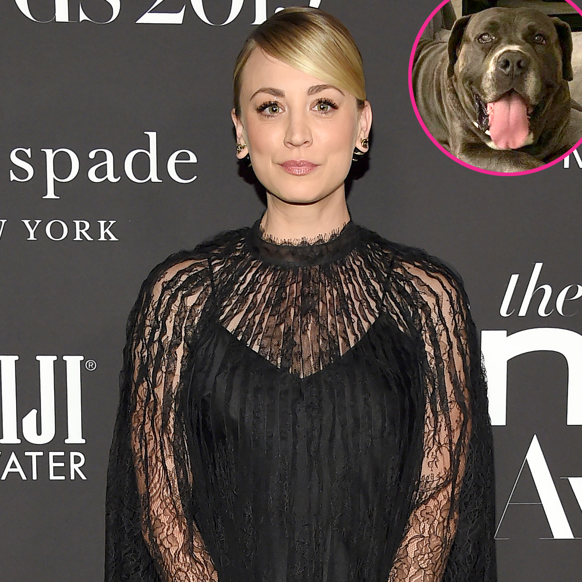 Kaley Cuoco Adopts New Dog Larry 5 Months After Pup Norman Death