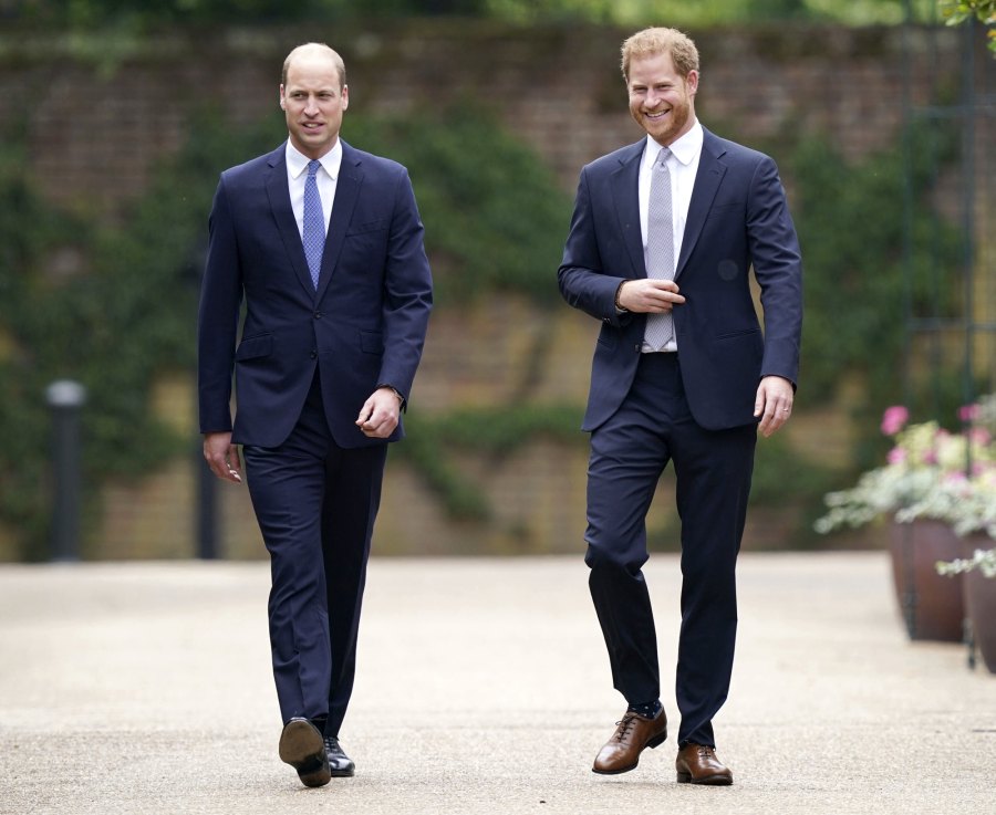 William Harry Put United Front Diana Statue Unveiling