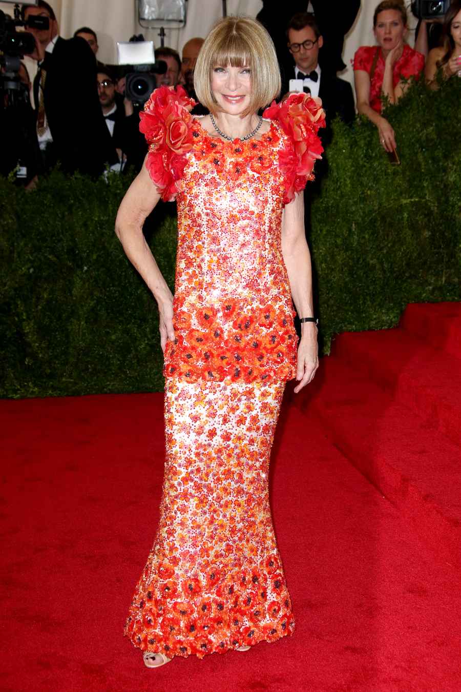 Looking Back at Anna Wintour's Most Memorable Met Gala Looks Through the Years: Pics