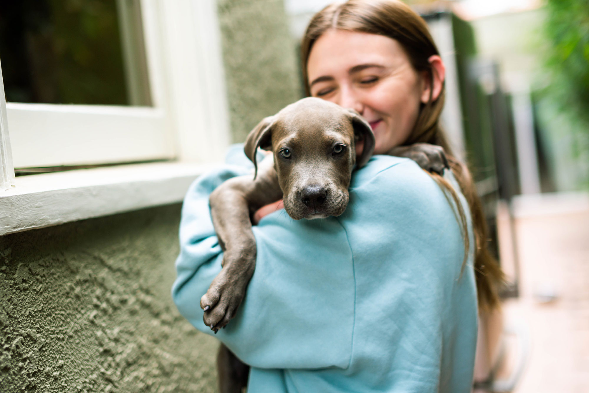 California-Based Dog Rescue Labelle Foundation Seeks Donations and Adoptions During 2021 Holidays