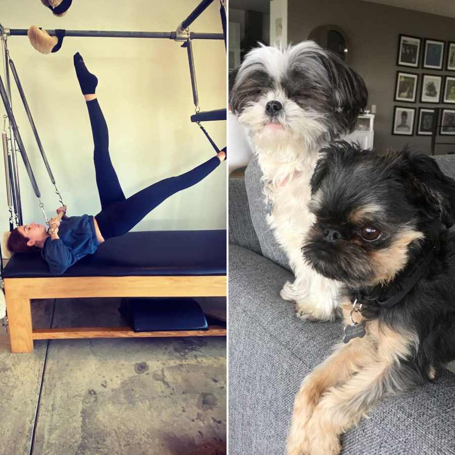 Stars Who Work Out With Their Pets