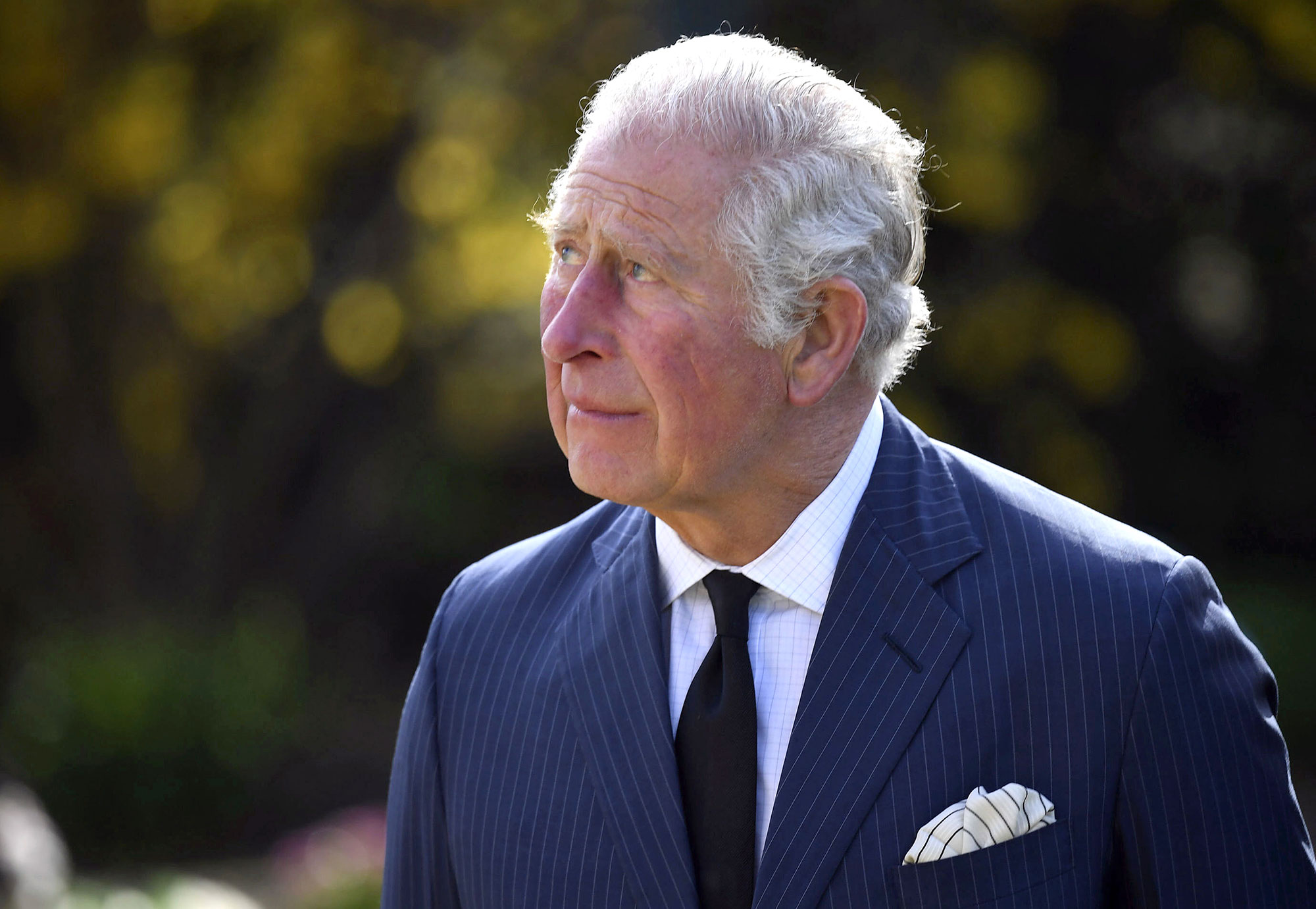 Prince Charles Tests Positive for COVID-19 for the 2nd Time