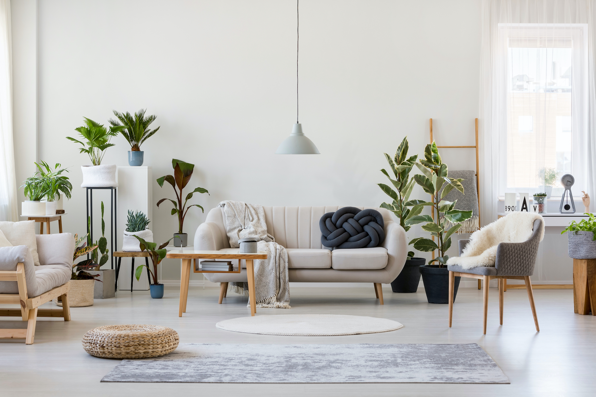 Rug-Stock-Photo