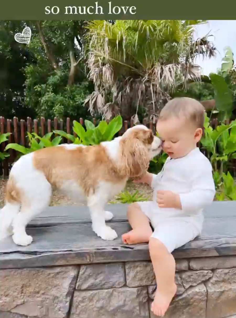 Bindi Irwin's Daughter Grace Meeting Animals Dogs