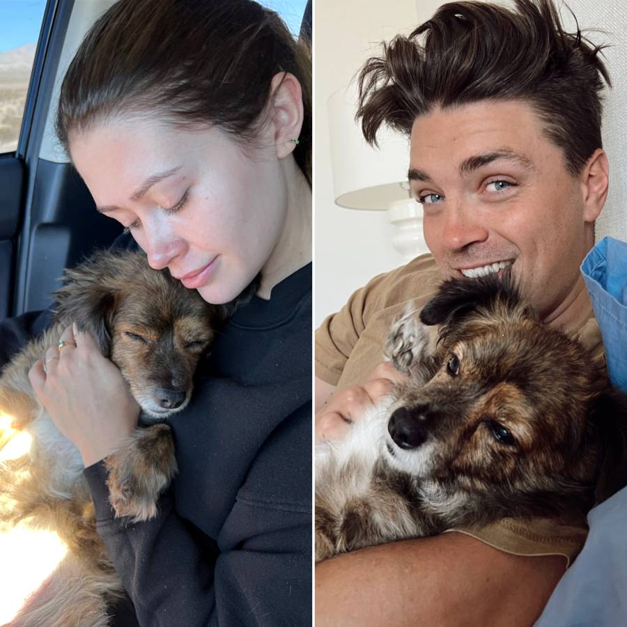 Celebrity Couples Who Adopted Pets Together