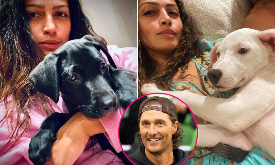 Celebrity Couples Who Adopted Pets Together