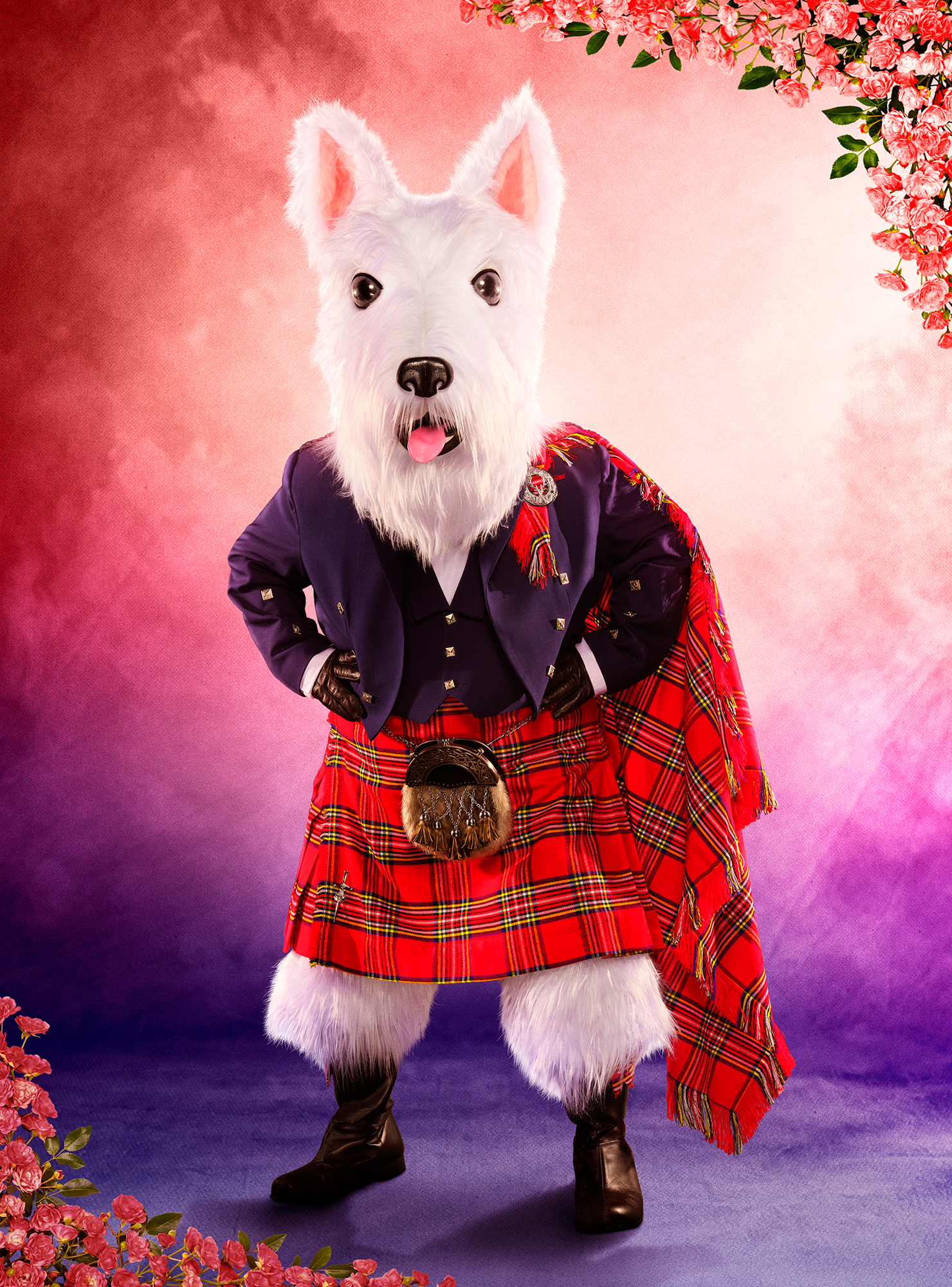 McTerrier Accidentally Unmasked During 'Masked Singer' Season 7 Premiere: What Happened?