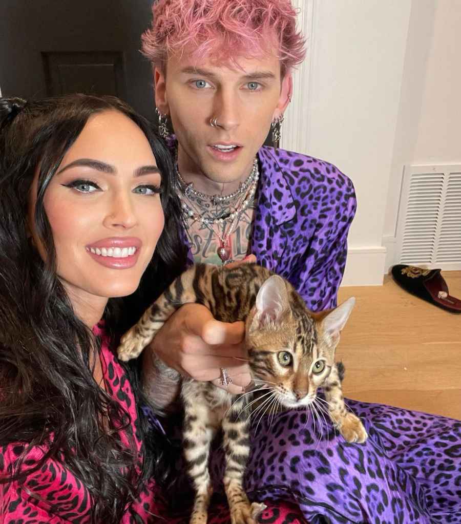 Megan Fox and Machine Gun Kelly Add a Kitten to Their Family 4