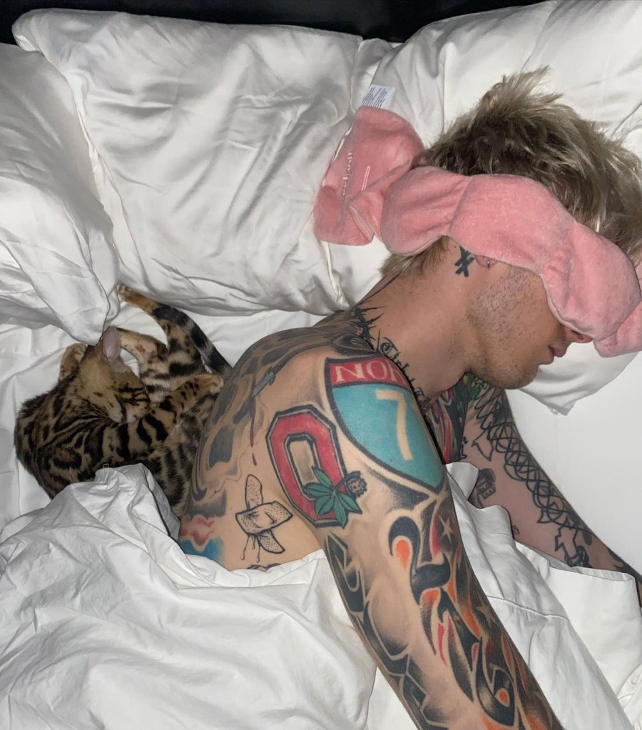 Megan Fox and Machine Gun Kelly Add a Kitten to Their Family 5