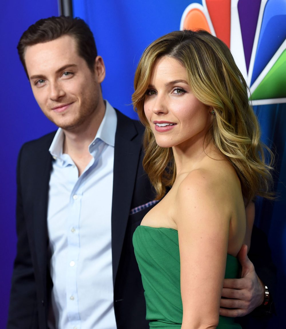 Sophia Bush Caught Holding Hands With Ex-Boyfriend, Chicago P.D. Costar Jesse Lee Soffer: Photo NBC 2015 Winter TCA Press Tour