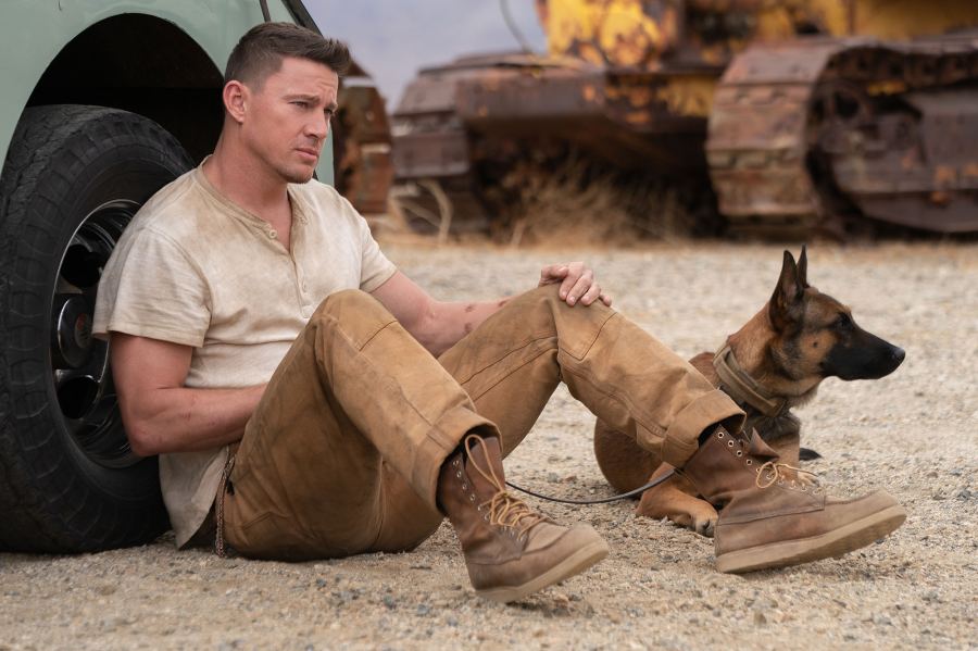 The Bridgerton Cast Channing Tatum and More Stars Reveal What Its Like Working With Pets on Set