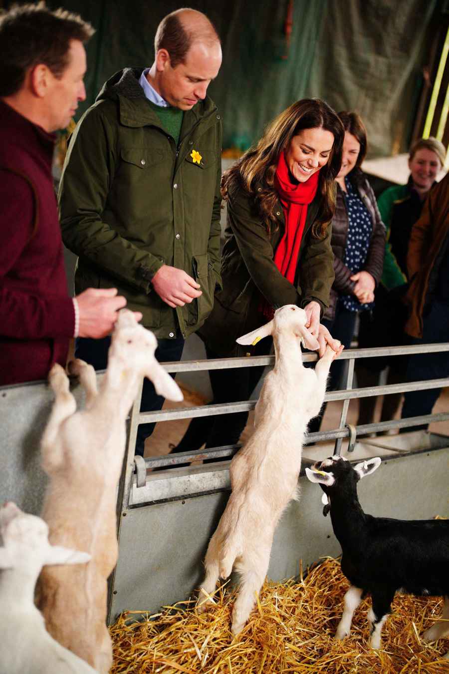 Four Legged Friends Cutest Photos Royals Meeting Animals Through Years Prince William Kate Middleton