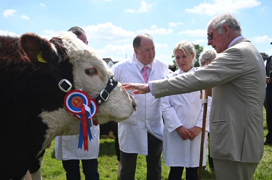 Four Legged Friends Cutest Photos Royals Meeting Animals Through Years Prince Charles