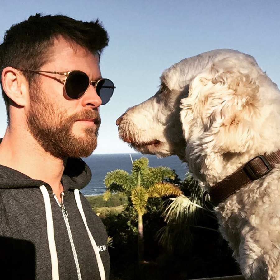 Hottest Celebrity Hunks Cuddling With Their Cutest Pet Puppies