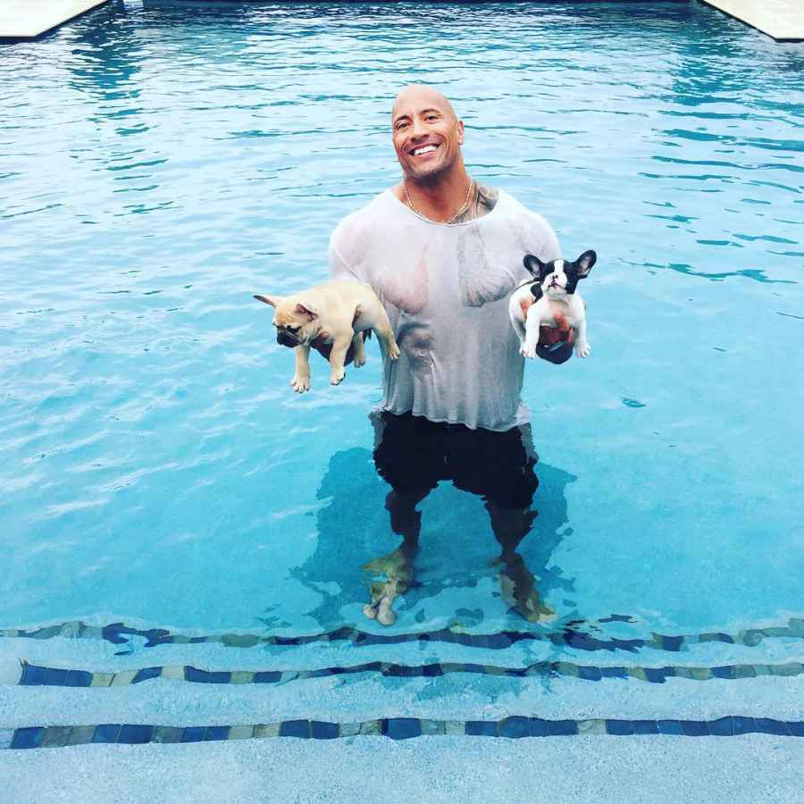 Hottest Celebrity Hunks Cuddling With Their Cutest Pet Puppies