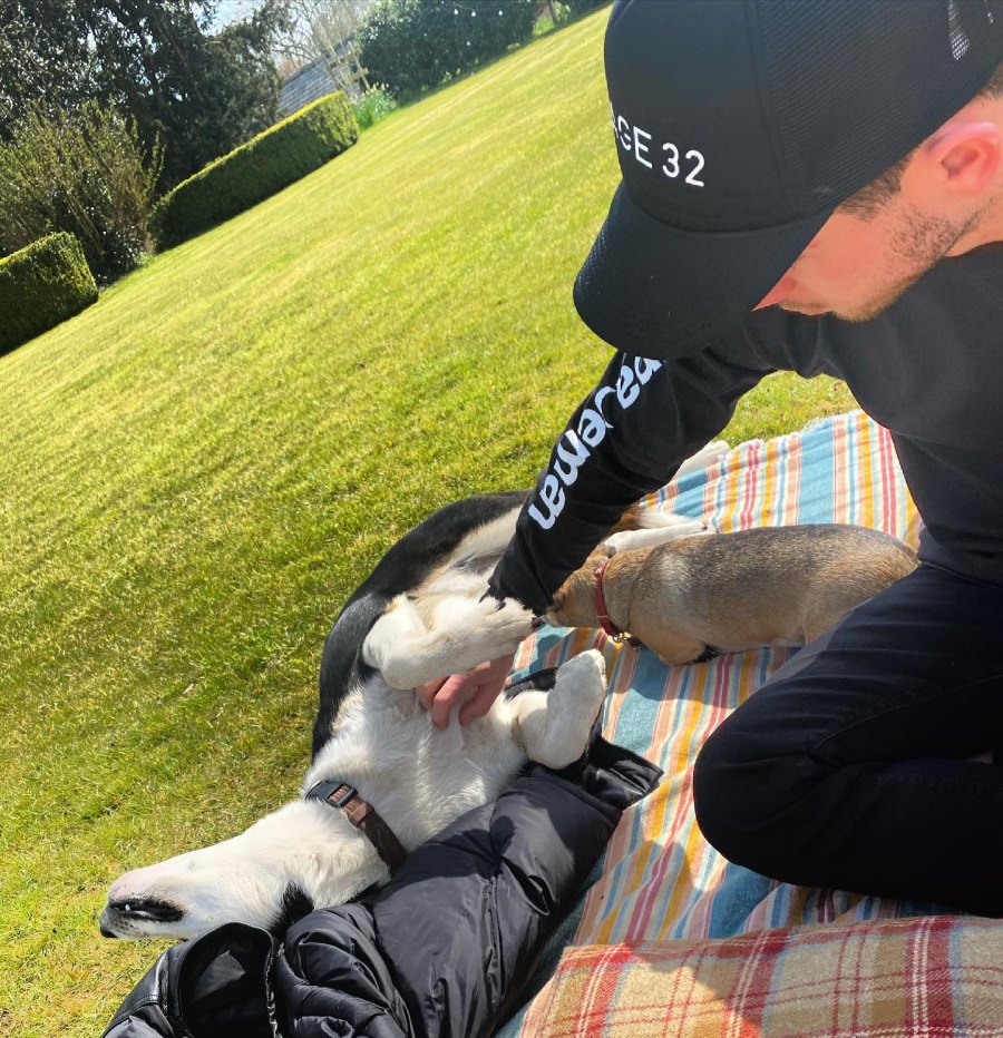 Hottest Celebrity Hunks Cuddling With Their Cutest Pet Puppies