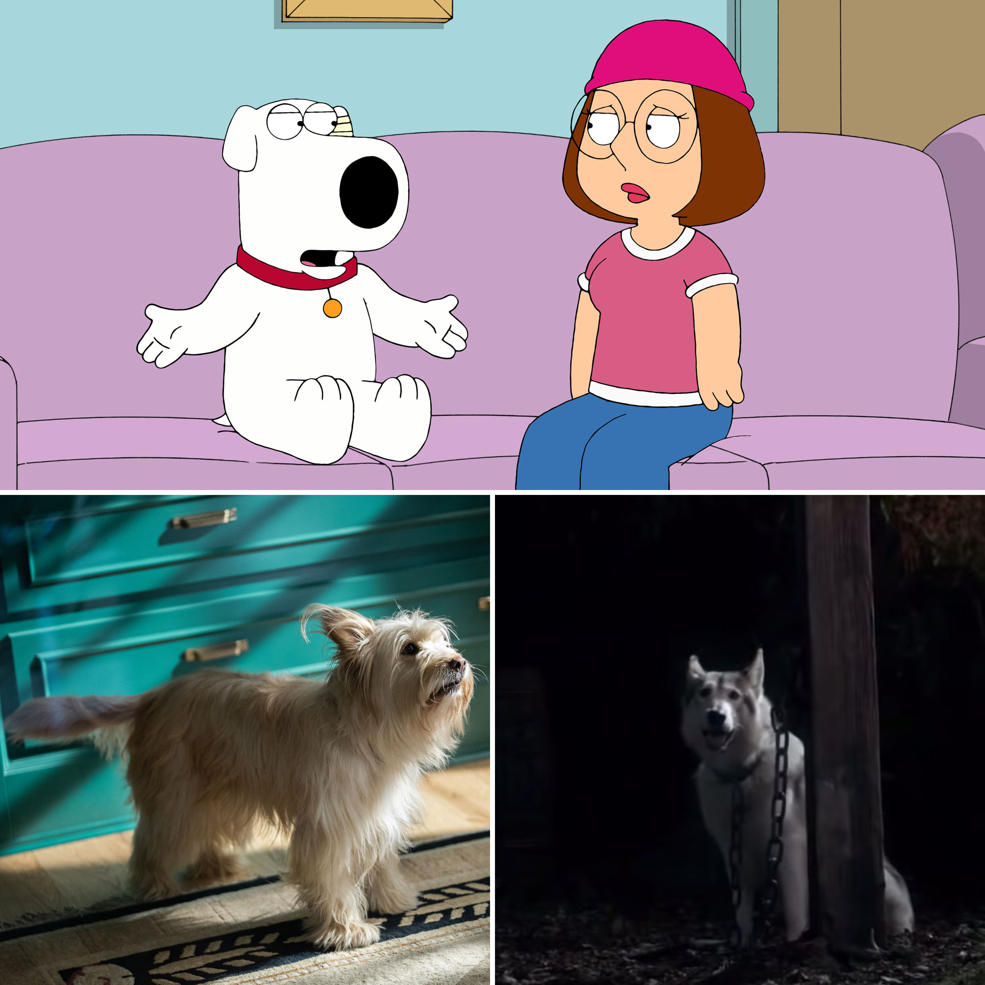 Pass Tissues The Saddest TV Pet Deaths All Time