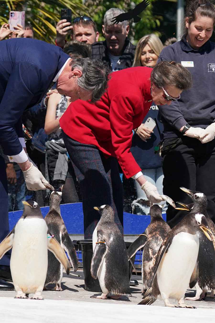 Jubilee Zoo Trip! Princess Anne, More Royals’ Cutest Photos With Animals