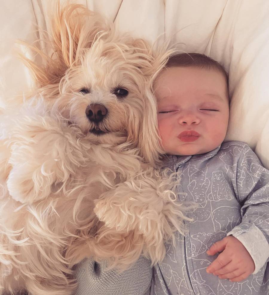 Ashley Iaconetti Son and More Celeb Kids Cuddle With Pets Dawson Haibon and Lois