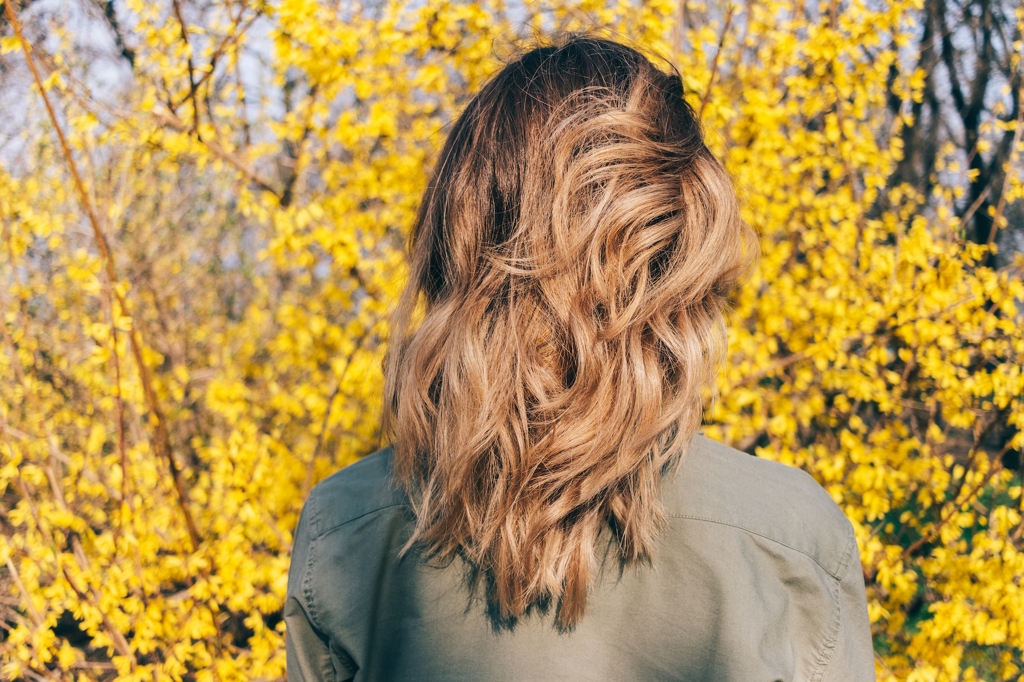 Brown-Hair-Stock-Photo