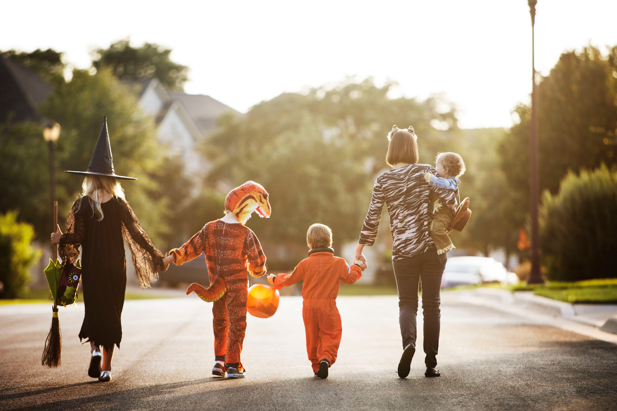 Halloween-Stock-Photo