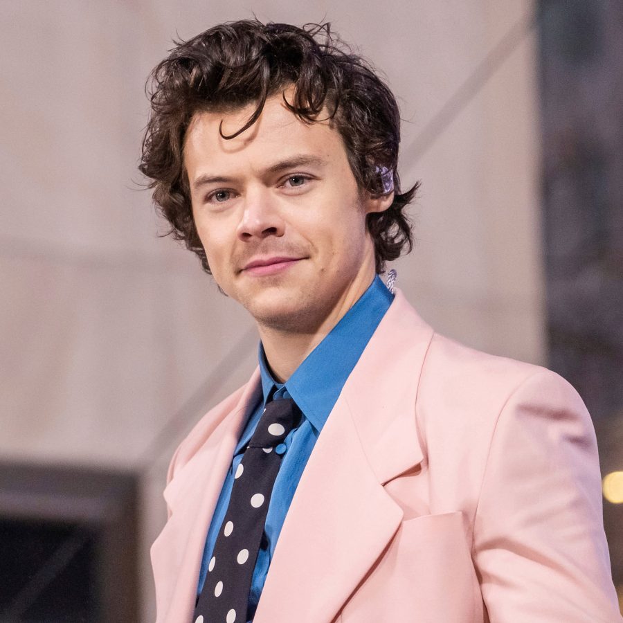 Harry Styles Weighs In Difficult Olivia Wilde Relationship Criticism