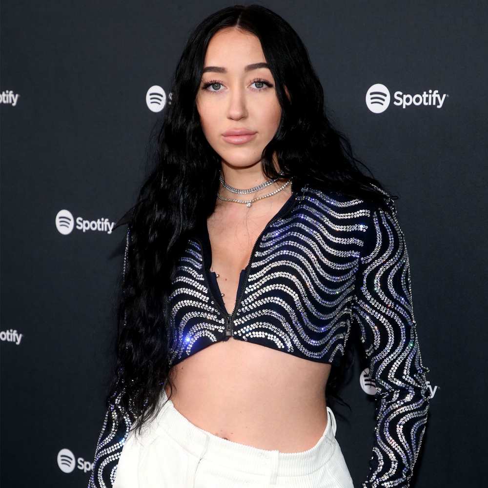 Noah Cyrus' New Song Was Partly Inspired by Billy Ray and Tish Cyrus' Split