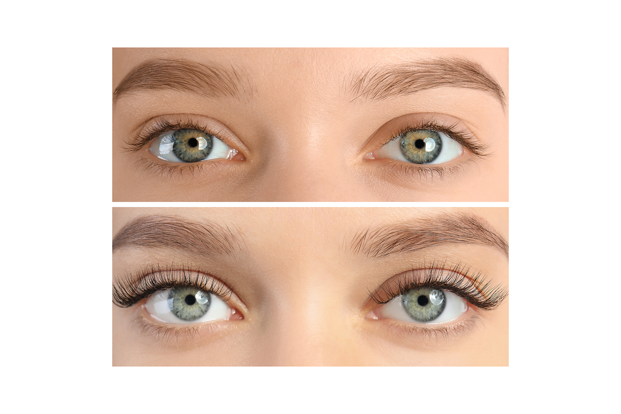 eyebrow and eyelash serum