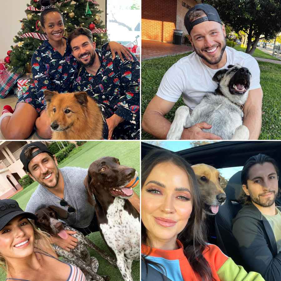 Meet Bachelor Nation’s Dogs