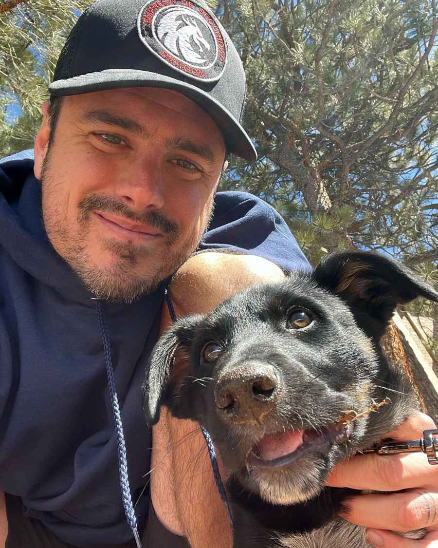 Bachelor Nation’s Dogs Ben Higgins