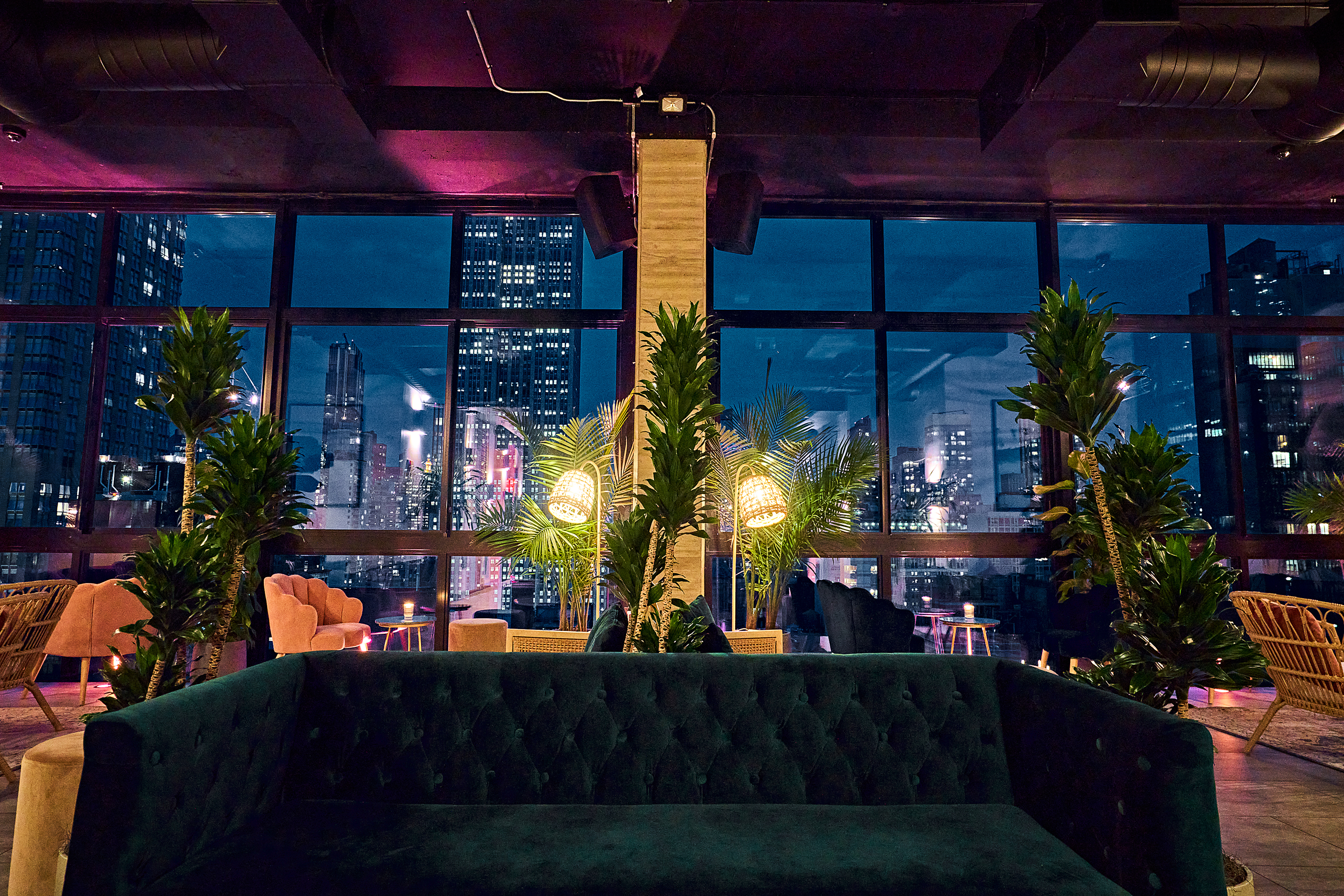 daintree- nyc