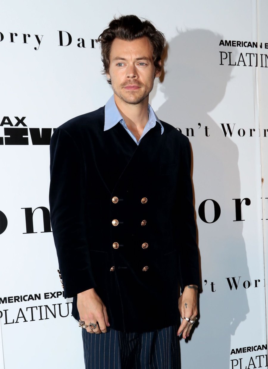 Harry Styles DWD Film Premiere