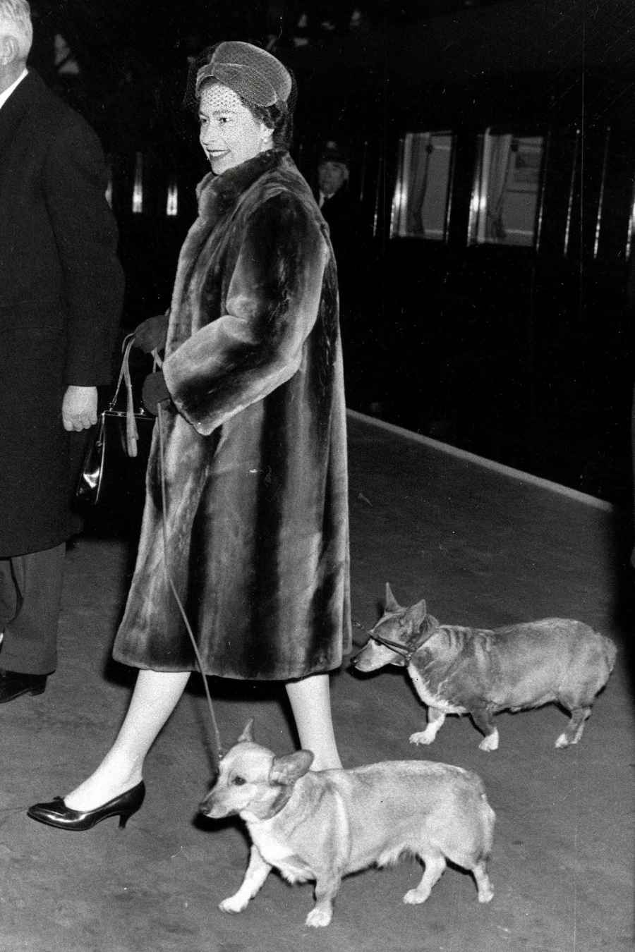 Inside the Fabulous Life of Queen Elizabeth II’s Corgis