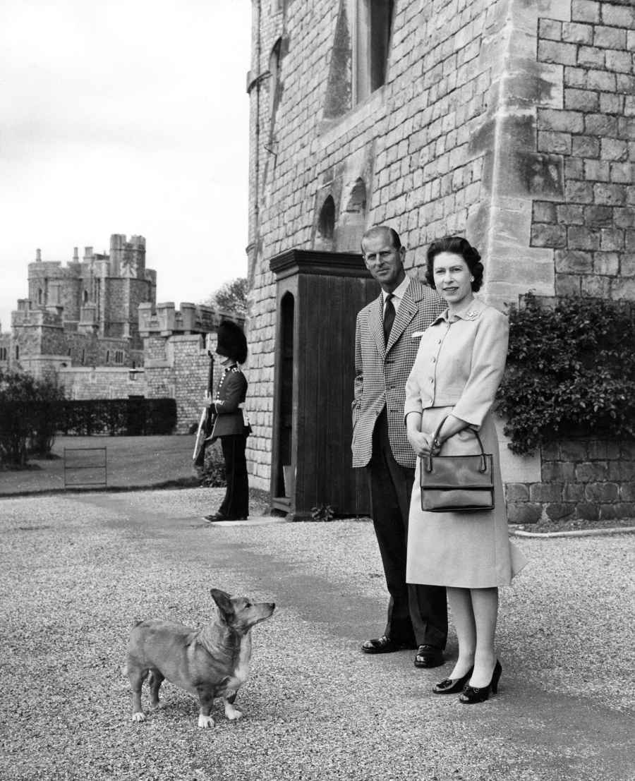 Inside the Fabulous Life of Queen Elizabeth II’s Corgis