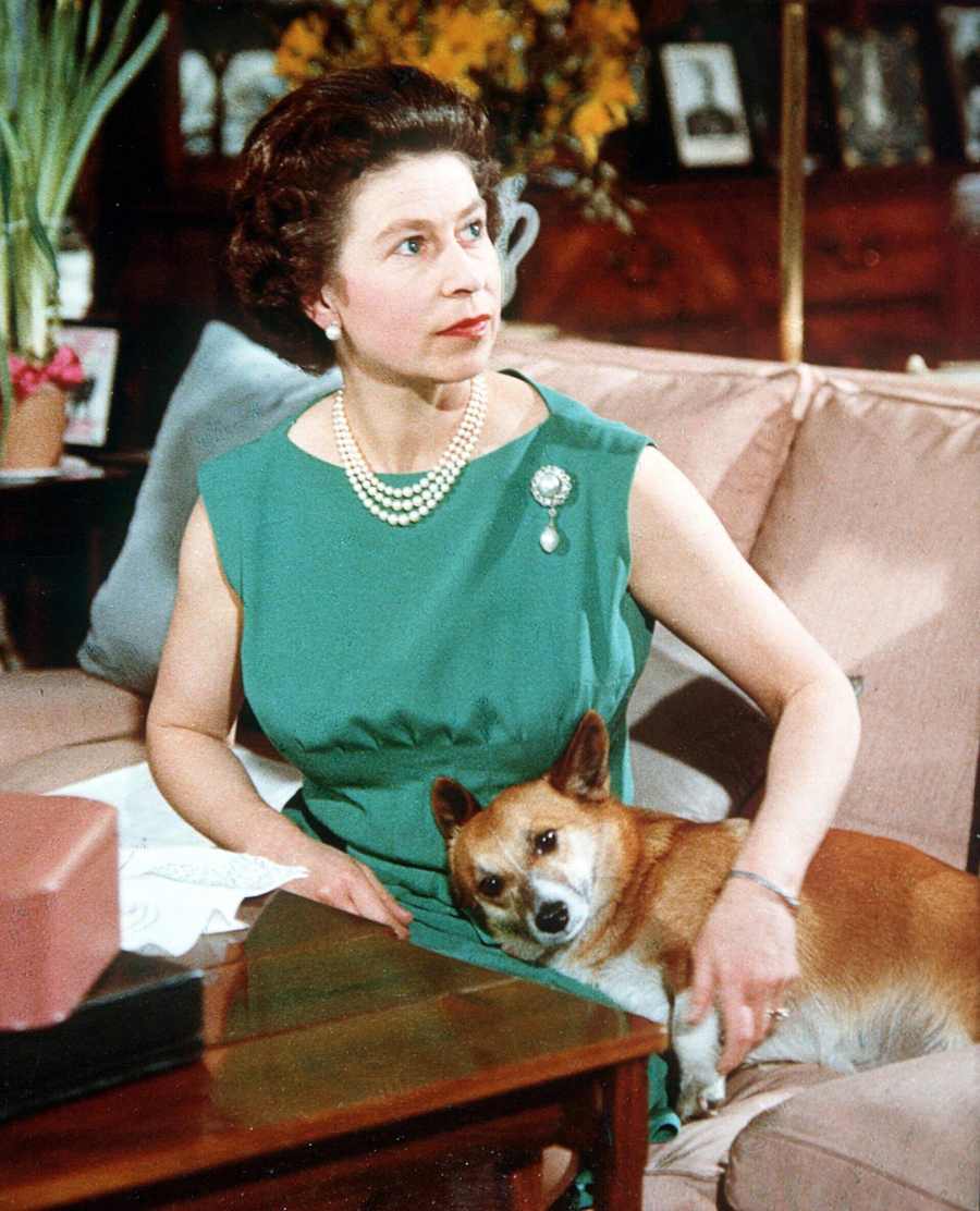 Inside the Fabulous Life of Queen Elizabeth II’s Corgis