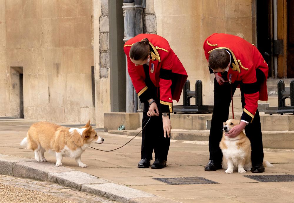 Sarah Ferguson Shares Update on Queen Elizabeth II’s 2 Corgis, Says Taking Care of Them Is a ‘Big Honor’